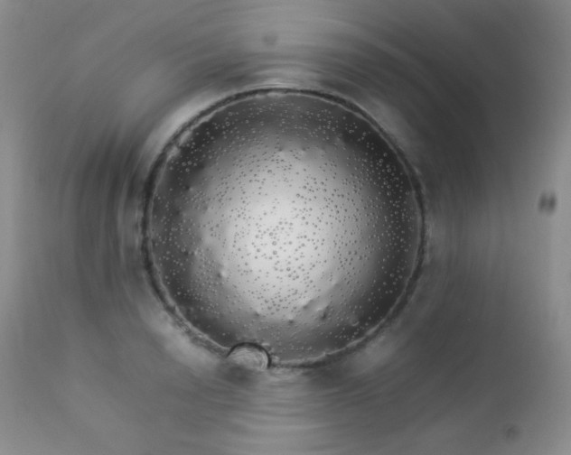 X0000112830846200908211215