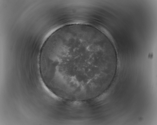 X0000112830847200908211215