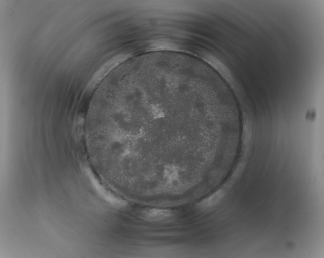 X0000112830849200908211215