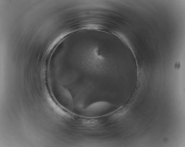 X0000112830851200908211215