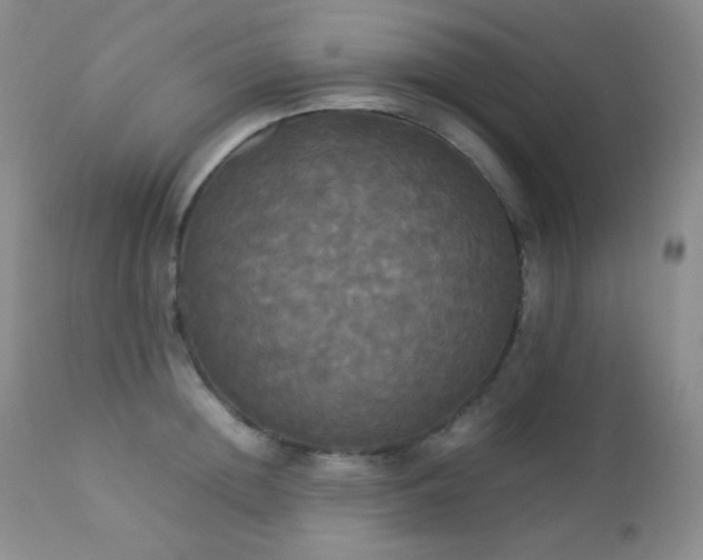 X0000112830852200908211215
