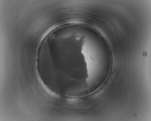 X0000112830853200908211215