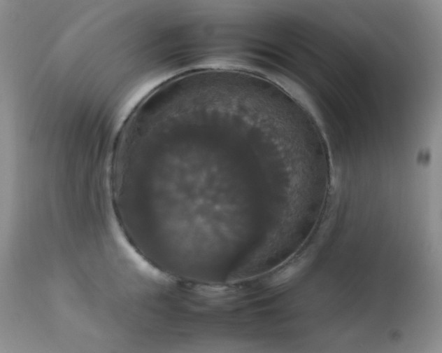 X0000112830855200908211215