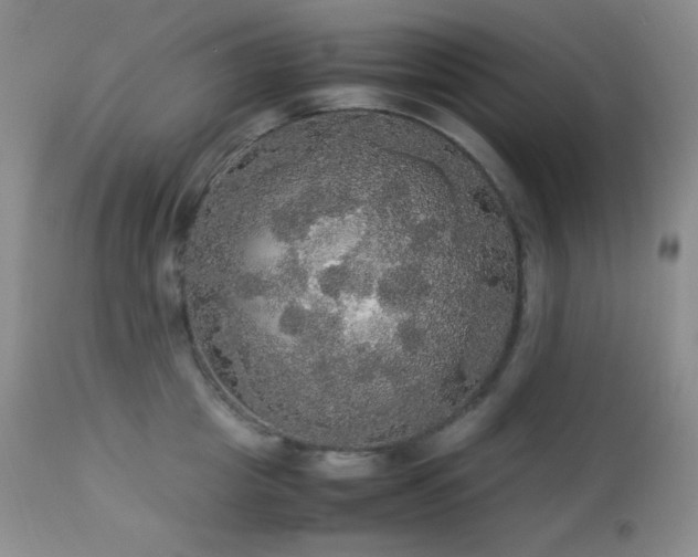 X0000112830857200908211215