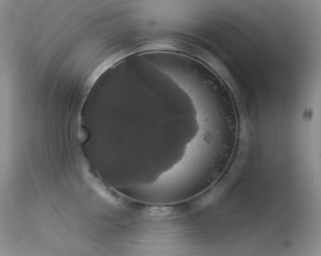 X0000112830858200908211215