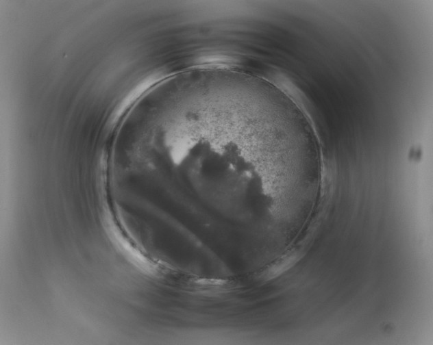 X0000112830859200908211215