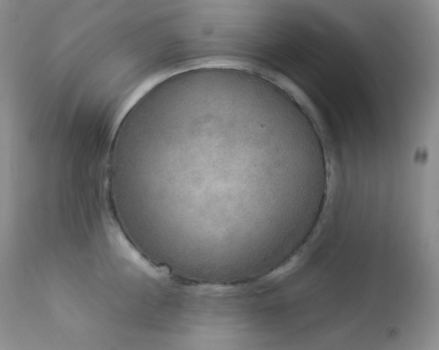 X0000112830860200908211215