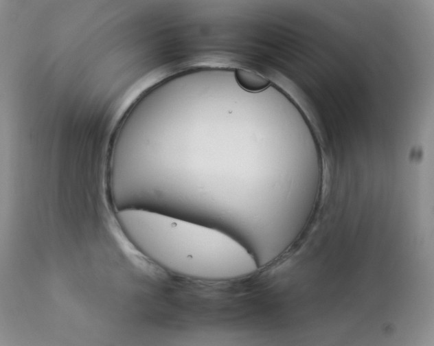 X0000112830861200908211215