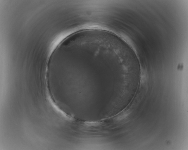 X0000112830863200908211215