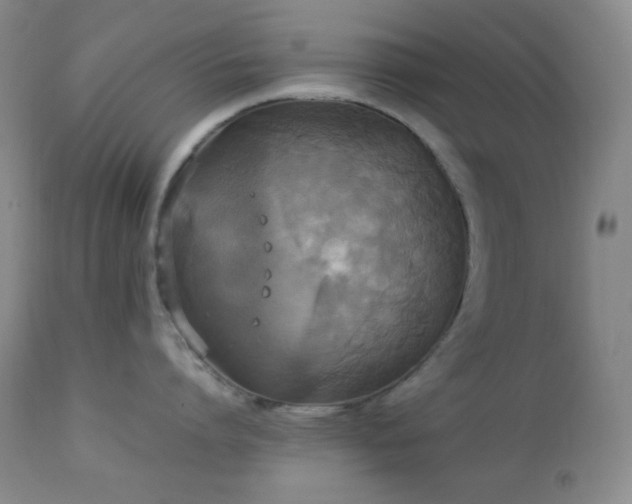 X0000112830864200908211215