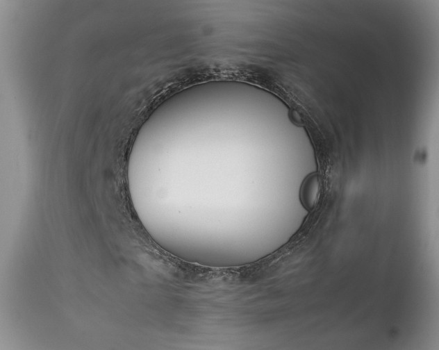 X0000112830865200908211214