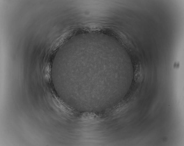 X0000112830866200908211214
