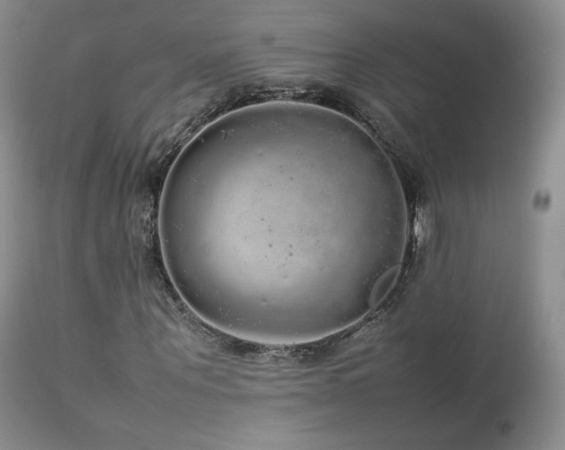 X0000112830867200908211214