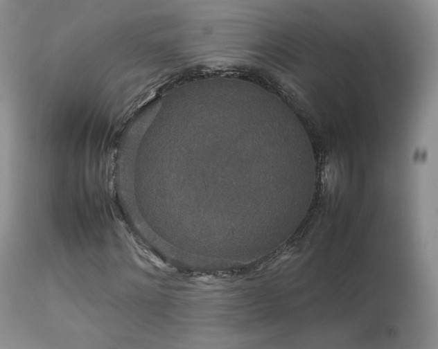 X0000112830868200908211214