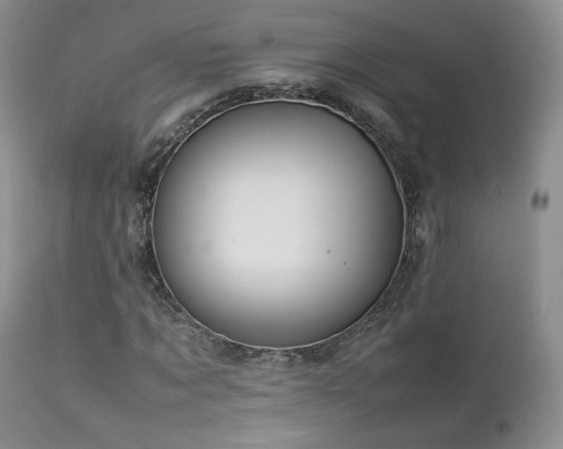 X0000112830869200908211214