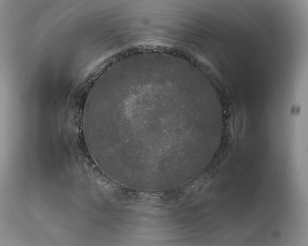 X0000112830870200908211214