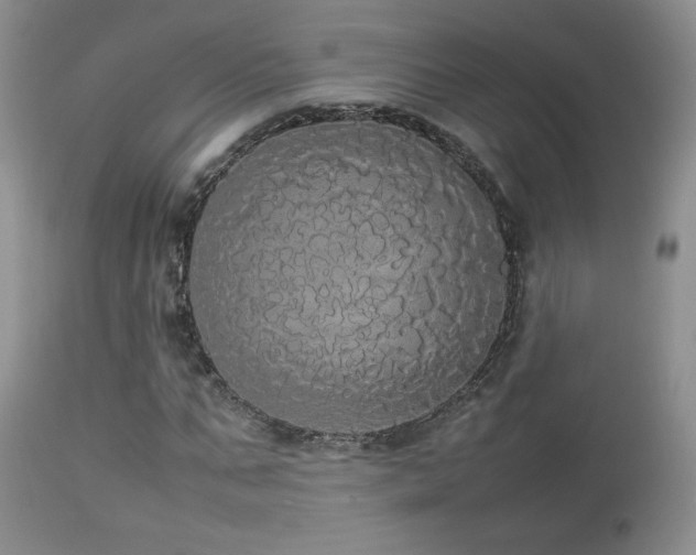 X0000112830871200908211214