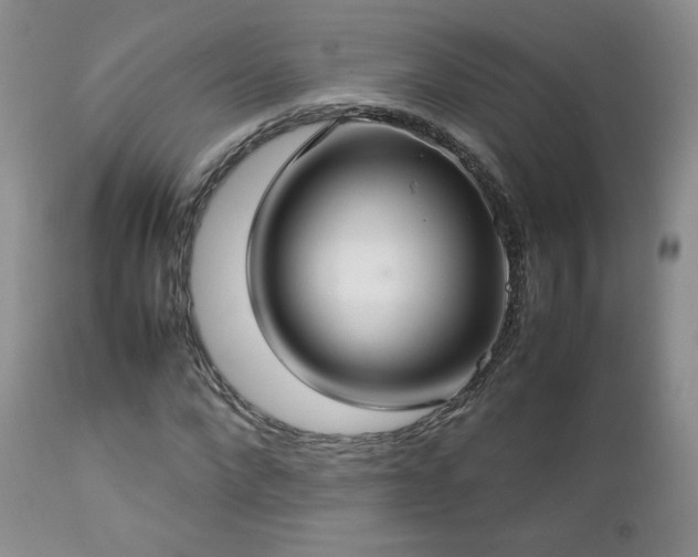 X0000112830872200908211214