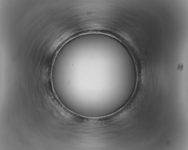 X0000112830873200908211214