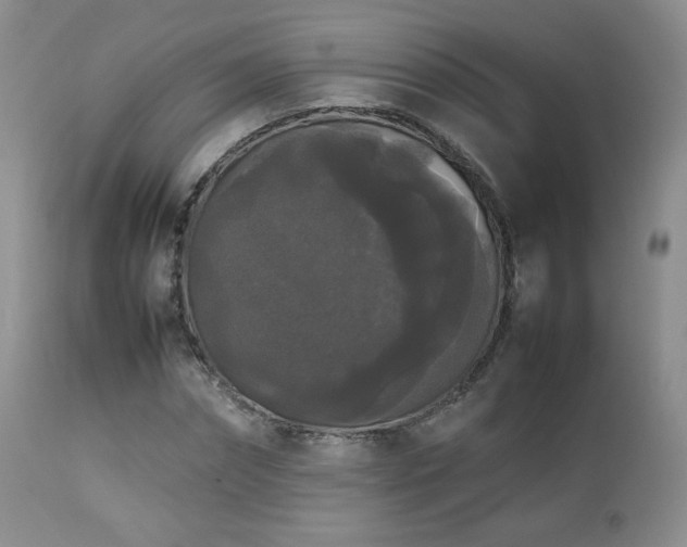 X0000112830874200908211214