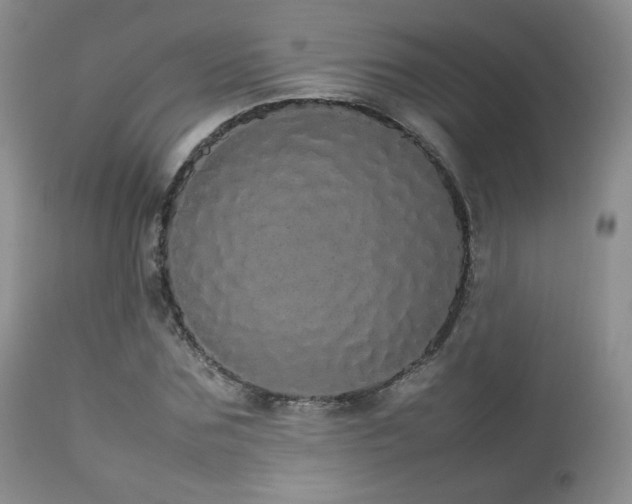 X0000112830875200908211214