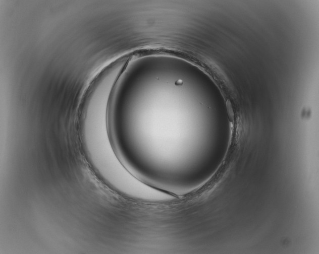 X0000112830876200908211214
