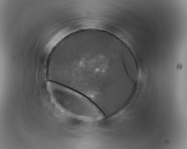 X0000112830877200908211214