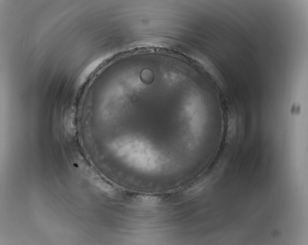 X0000112830878200908211214