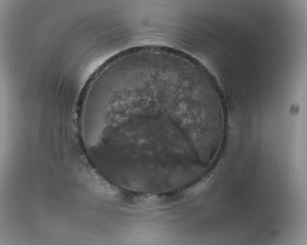 X0000112830879200908211214