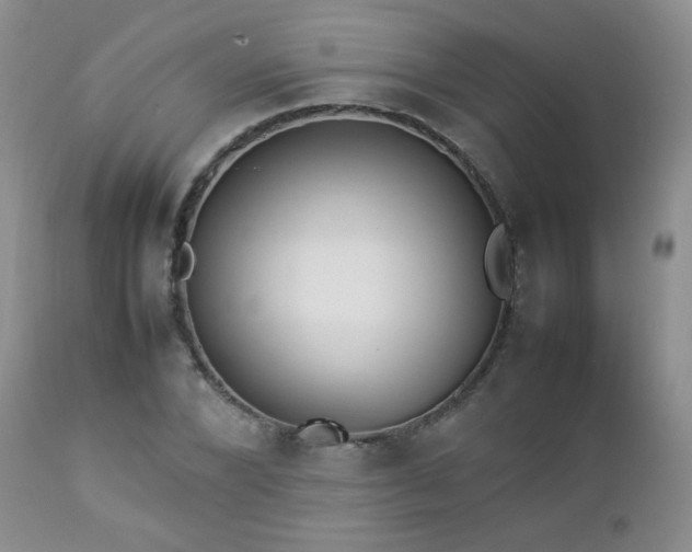 X0000112830880200908211214