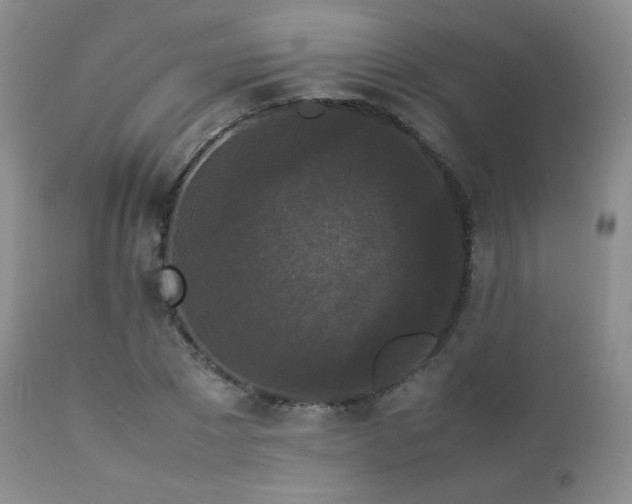 X0000112830881200908211214