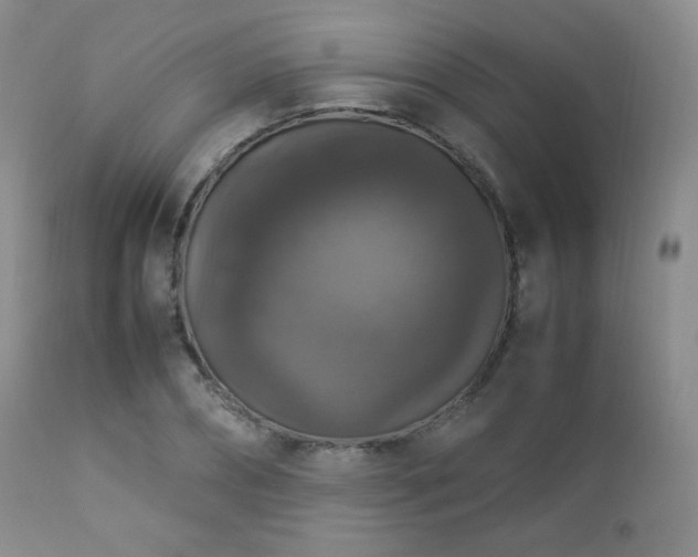 X0000112830882200908211214