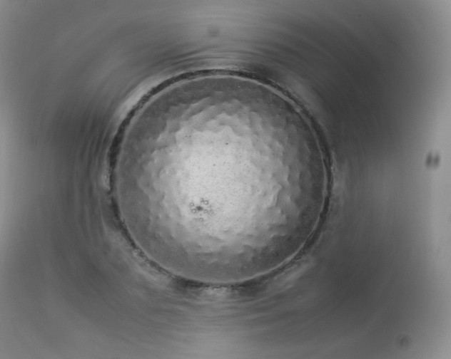 X0000112830883200908211214