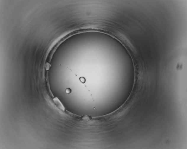 X0000112830884200908211214