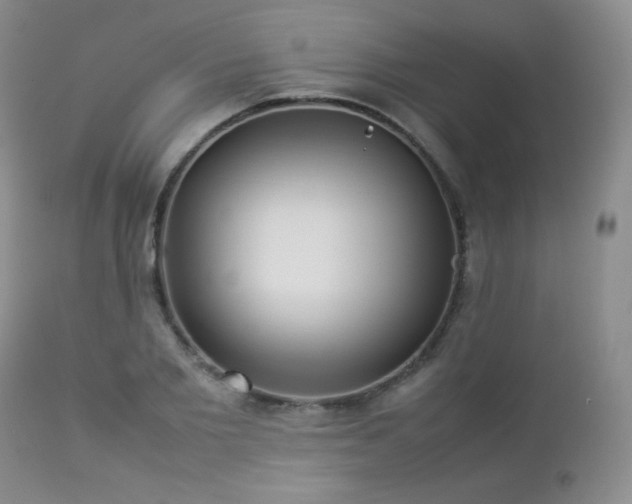 X0000112830885200908211214