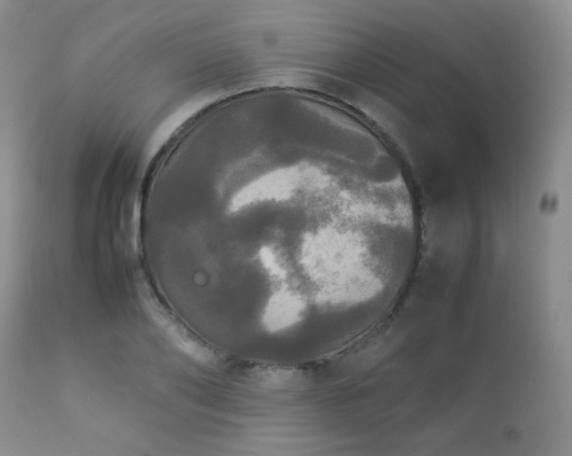 X0000112830886200908211214