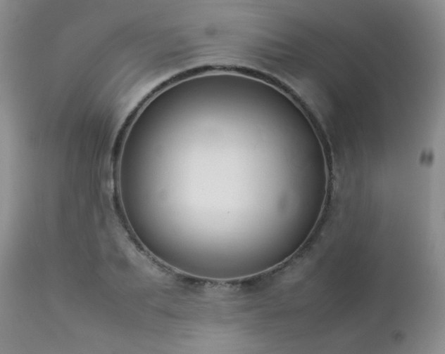 X0000112830887200908211214