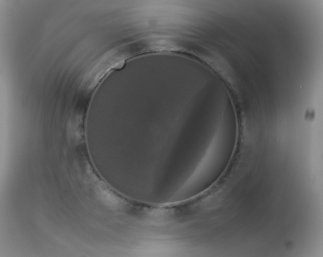 X0000112830889200908211214