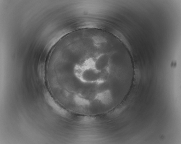 X0000112830890200908211214