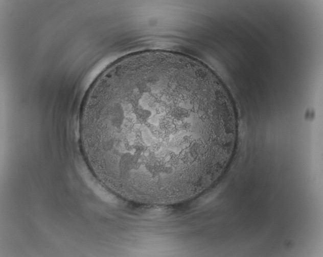 X0000112830891200908211214