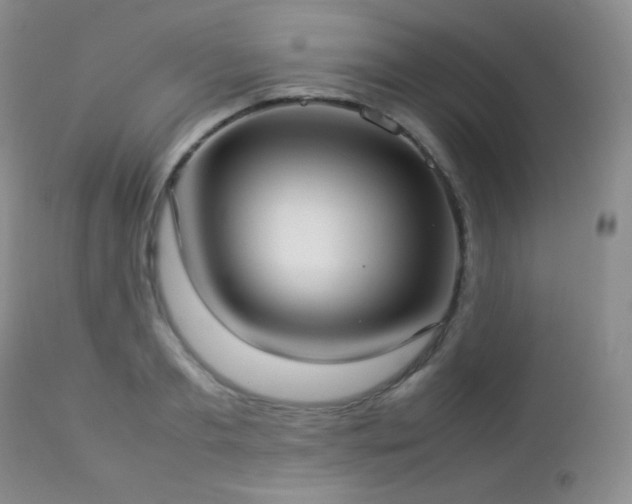 X0000112830893200908211214