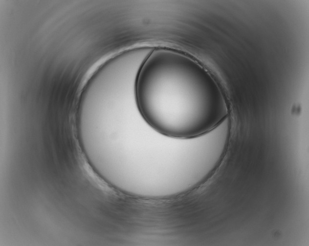 X0000112830896200908211214