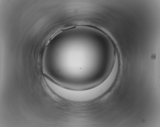 X0000112830897200908211214