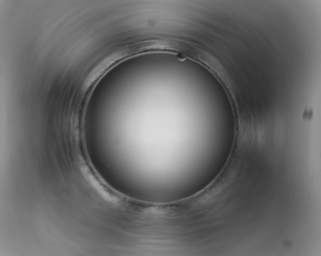 X0000112830898200908211214