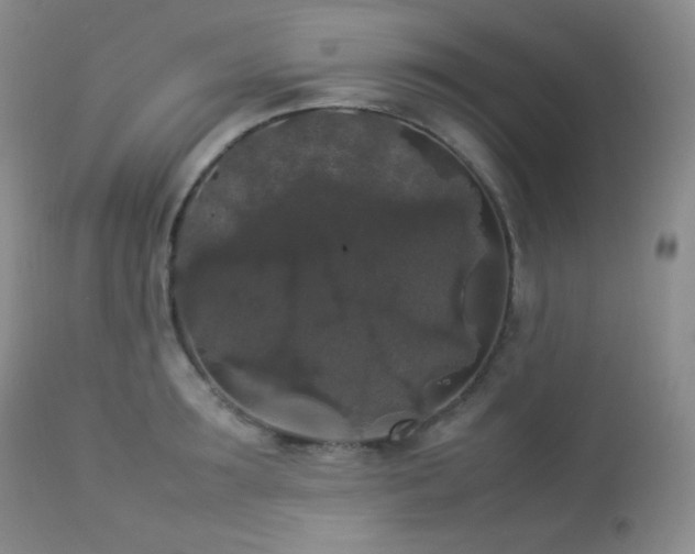 X0000112830899200908211214