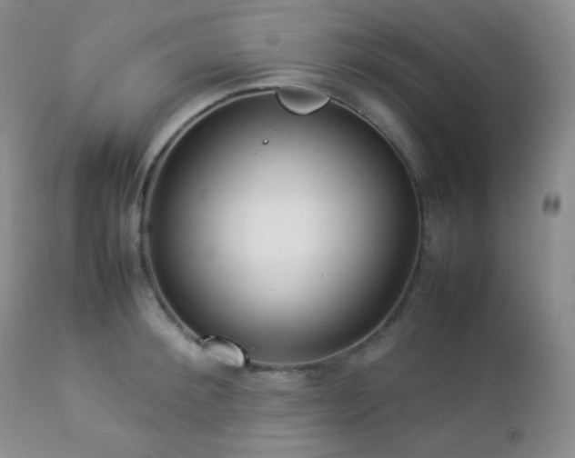X0000112830900200908211213