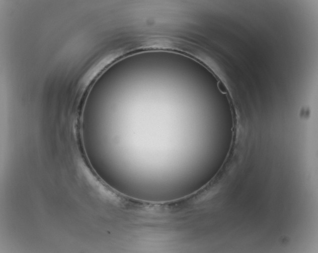 X0000112830901200908211213