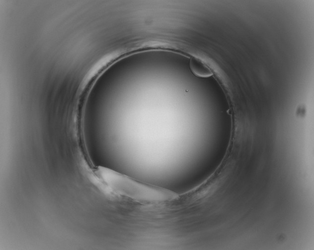 X0000112830902200908211213