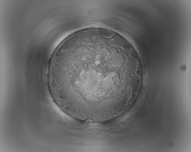 X0000112830903200908211213