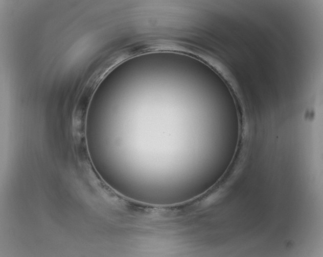 X0000112830905200908211213